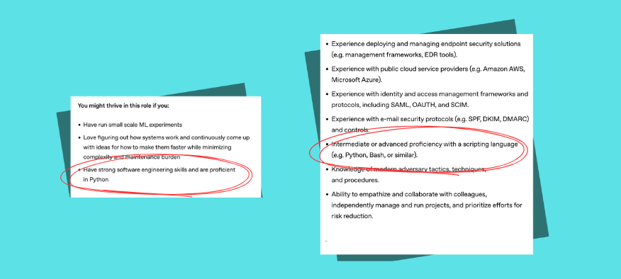 Job description in AI companies